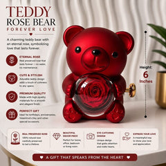 Teddy Rose Bear — Forever Love (Infographic)